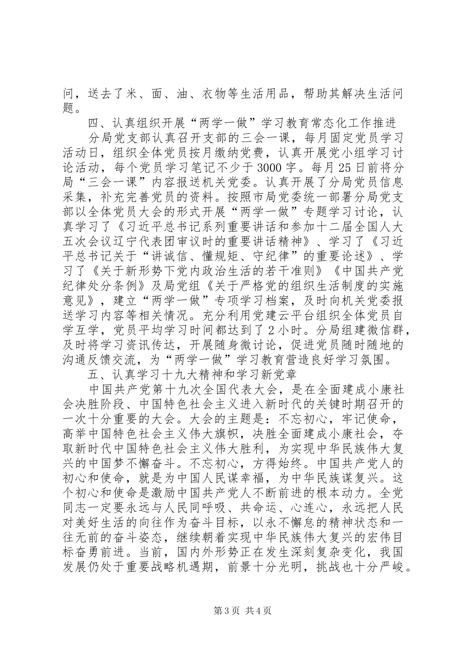 分局党支部工作总结_第3页