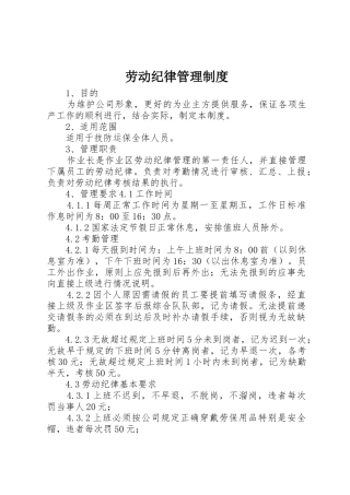 劳动纪律管理规章制度  (2)