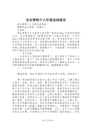 安全管制个人年度总结报告
