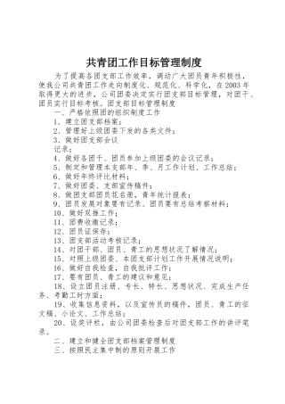 共青团工作目标管理规章制度细则