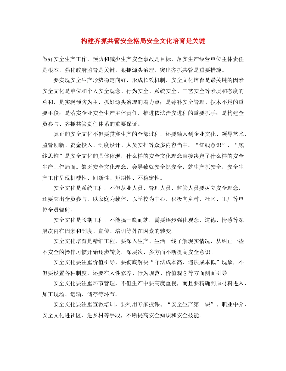 《安全文化》之构建齐抓共管安全格局 安全文化培育是关键 _第1页