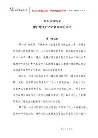 推行依法行政责任制实施办法(试行)