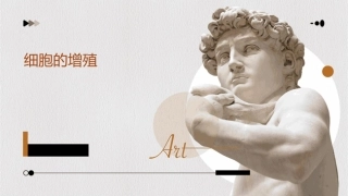 高中生物人教必修一同步辅导与检测课件  细胞的增殖