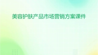 美容护肤产品市场营销方案课件