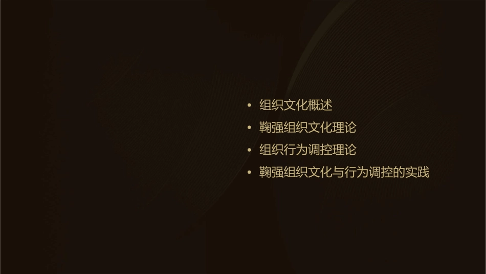 鞠强组织文化与行为调控课件_第2页