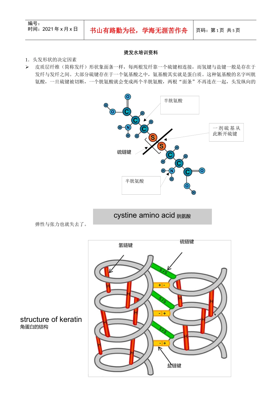 烫发水培训资料_第1页