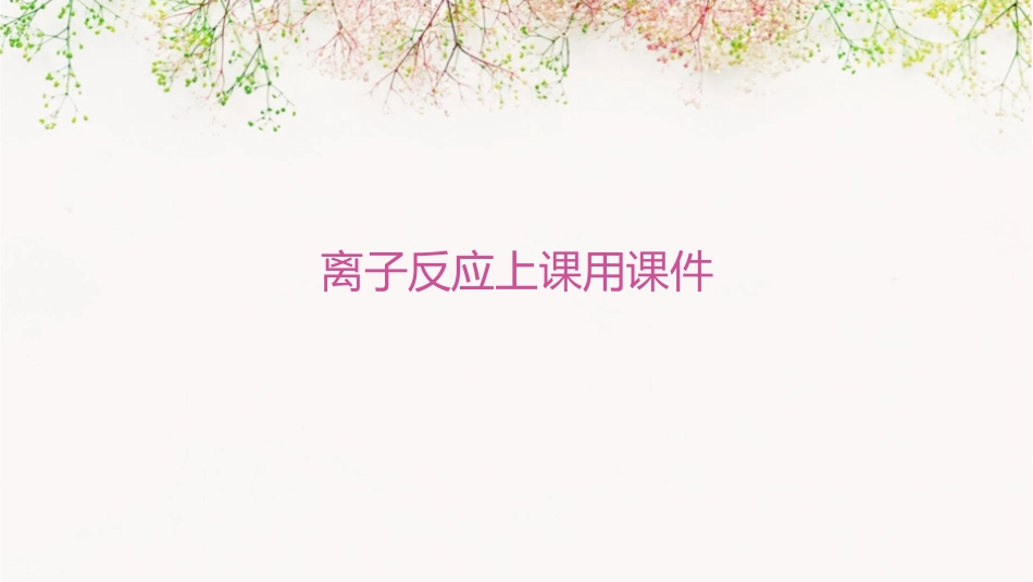 离子反应上课用课件_第1页