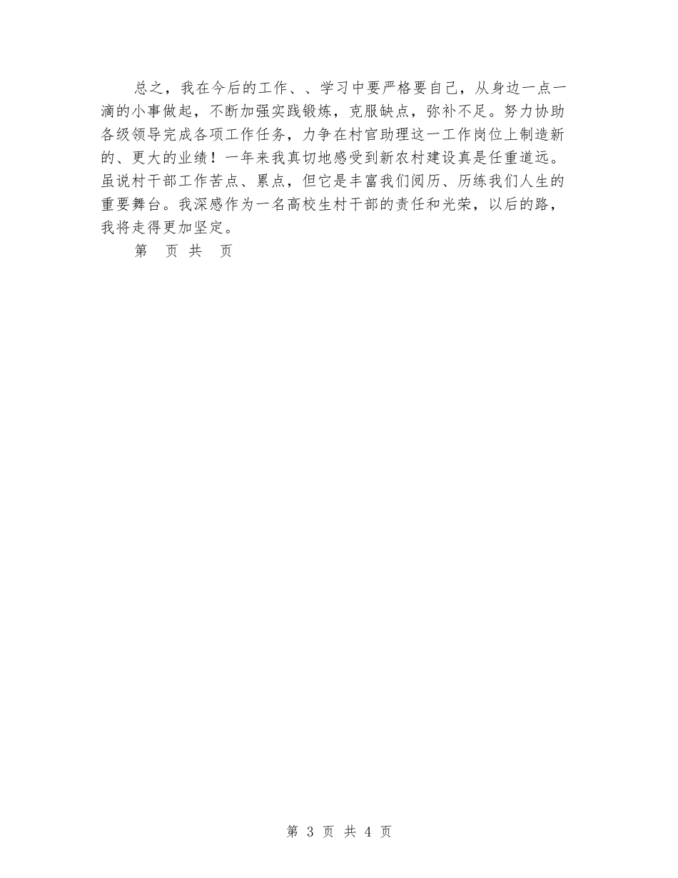 2024村官年终工作总结_第3页