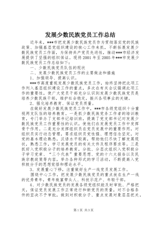 发展少数民族党员工作总结