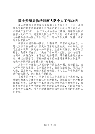 国土资源局执法监察大队个人工作总结