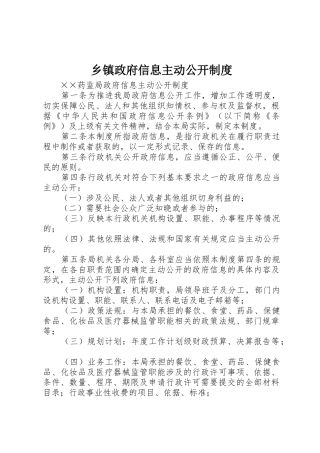 乡镇政府信息主动公开规章制度细则