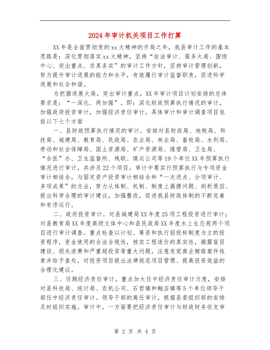 2024年审计机关项目工作打算.doc_第2页