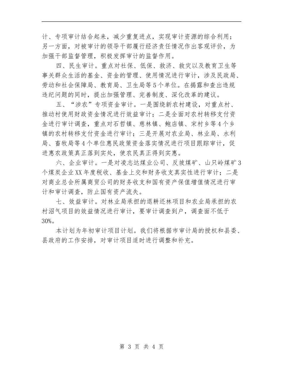 2024年审计机关项目工作打算.doc_第3页