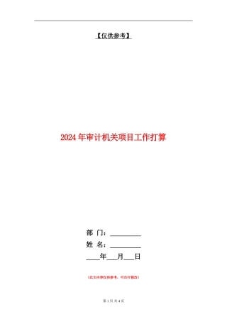 2024年审计机关项目工作打算.doc