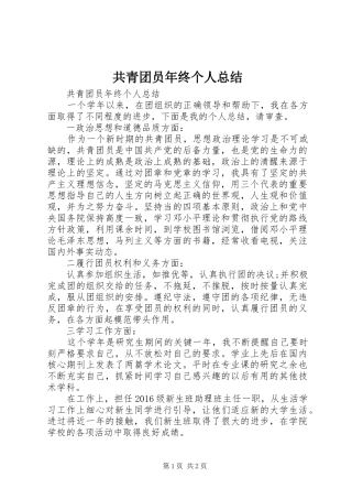 共青团员年终个人总结