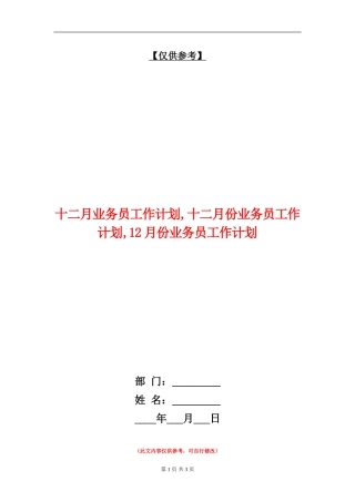 十二月业务员工作计划