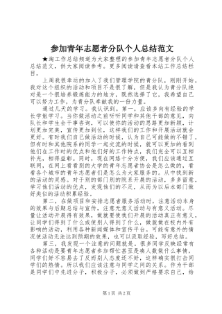 参加青年志愿者分队个人总结范文