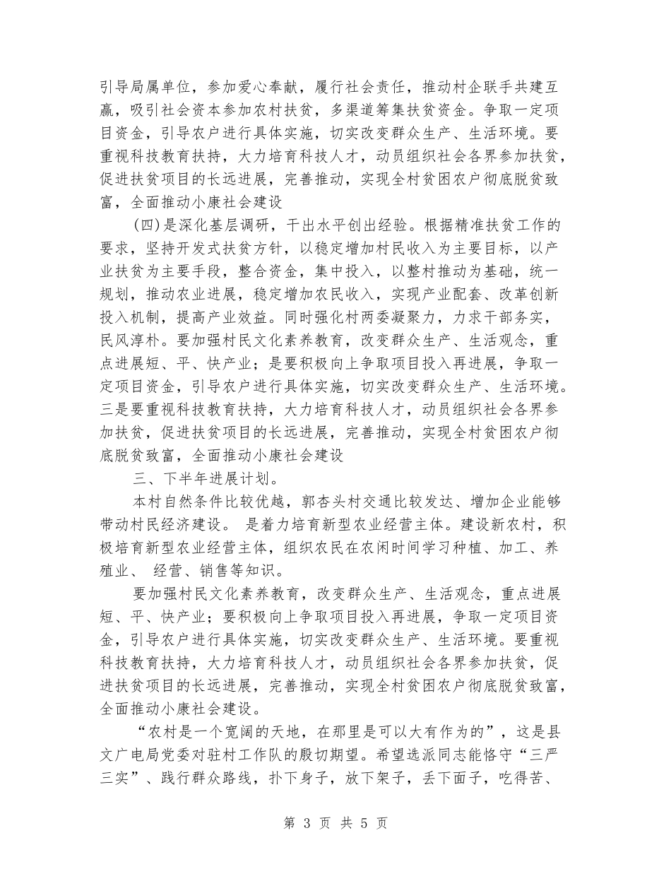驻村工作队扶贫工作总结_第3页