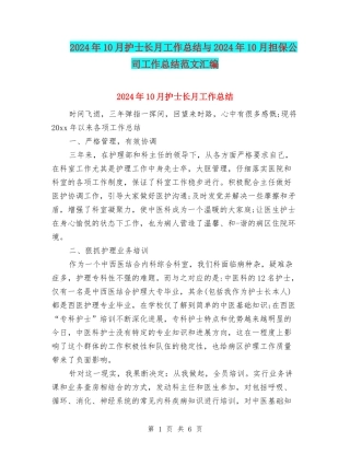 2024年10月护士长月工作总结与2024年10月担保公司工作总结范文汇编