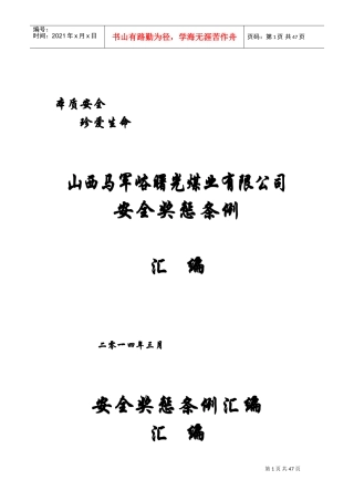 某某煤业公司安全奖惩条例汇编