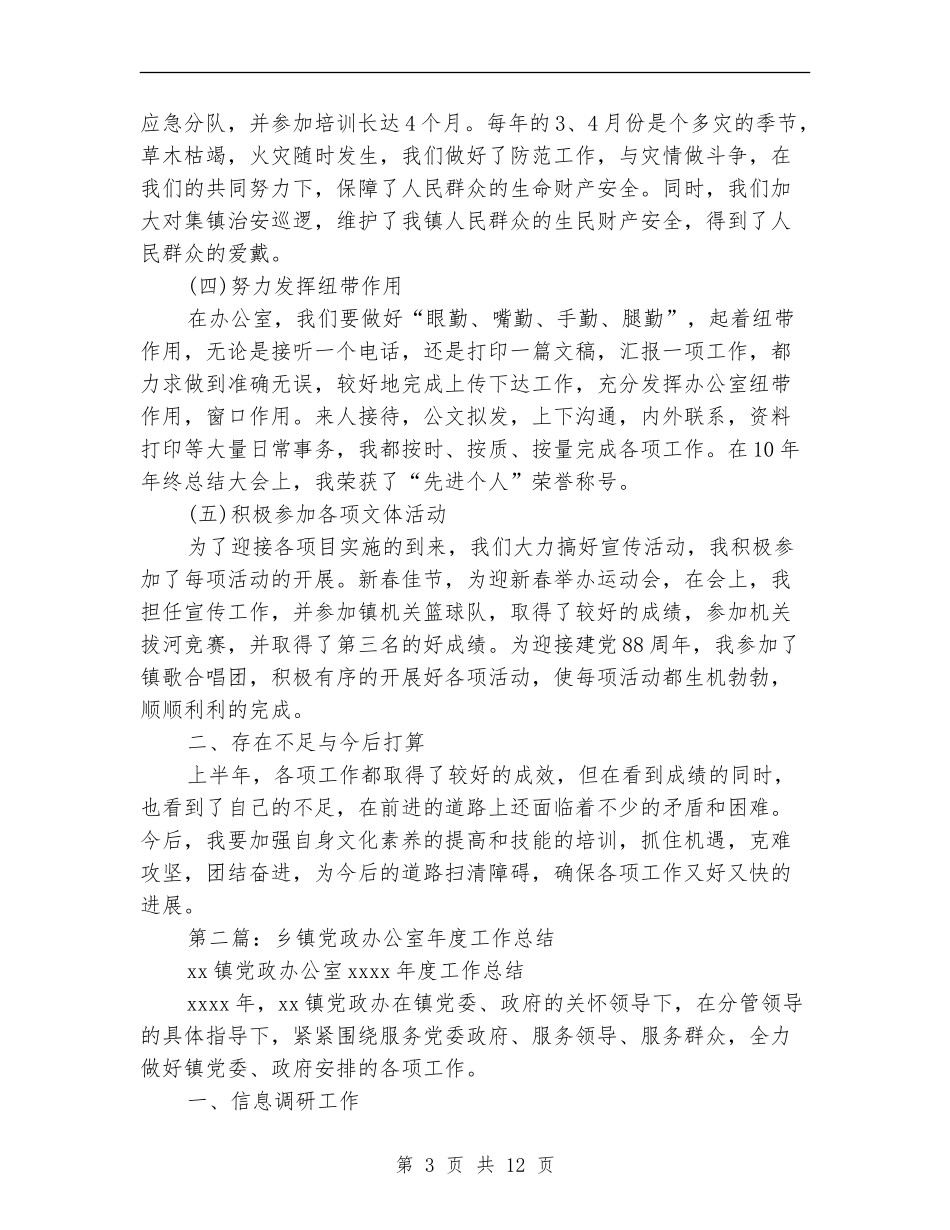 乡镇党政办公室工作总结_第3页