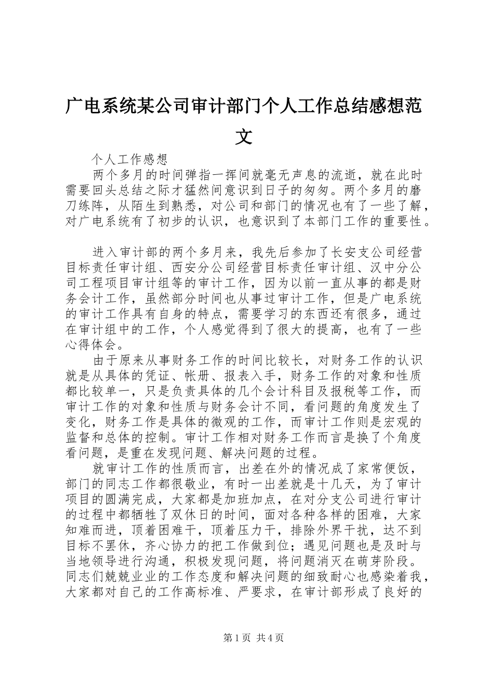 广电系统某公司审计部门个人工作总结感想范文_第1页