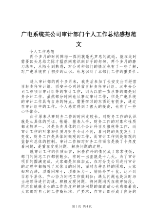 广电系统某公司审计部门个人工作总结感想范文