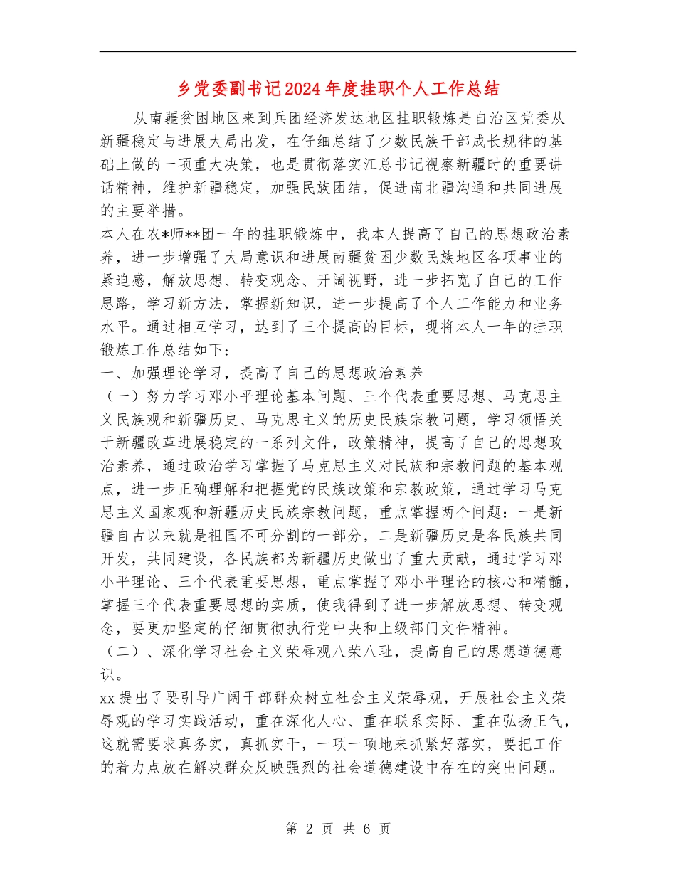 乡党委副书记2024年度挂职个人工作总结_第2页