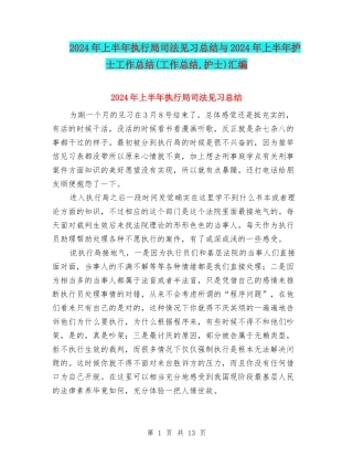 2024年上半年执行局司法见习总结与2024年上半年护士工作总结汇编