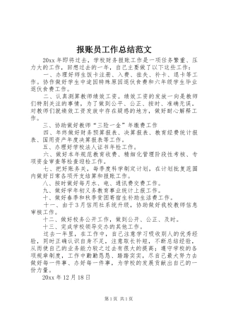 报账员工作总结范文