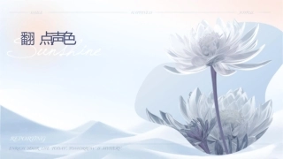 翻译难点声色词讲诉课件