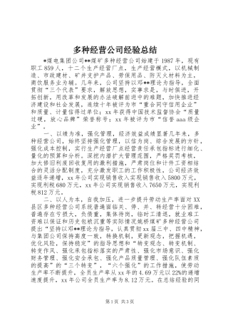 多种经营公司经验总结