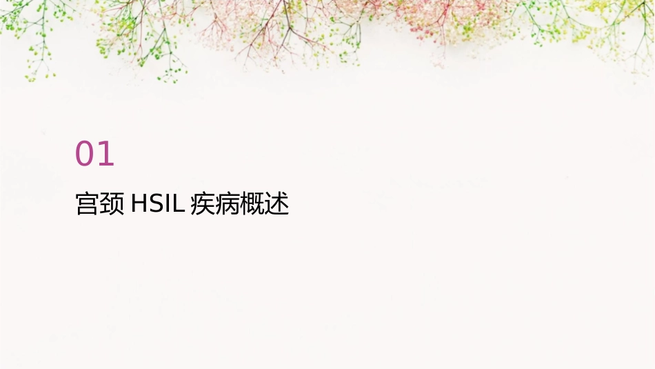 宫颈HSIL治疗 冷冻和LEEP护理课件_第3页