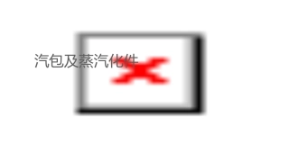 汽包及蒸汽净化课件