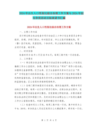 2024年出生人口性别比综合治理工作方案与2024年创先争优活动目标承诺书汇编