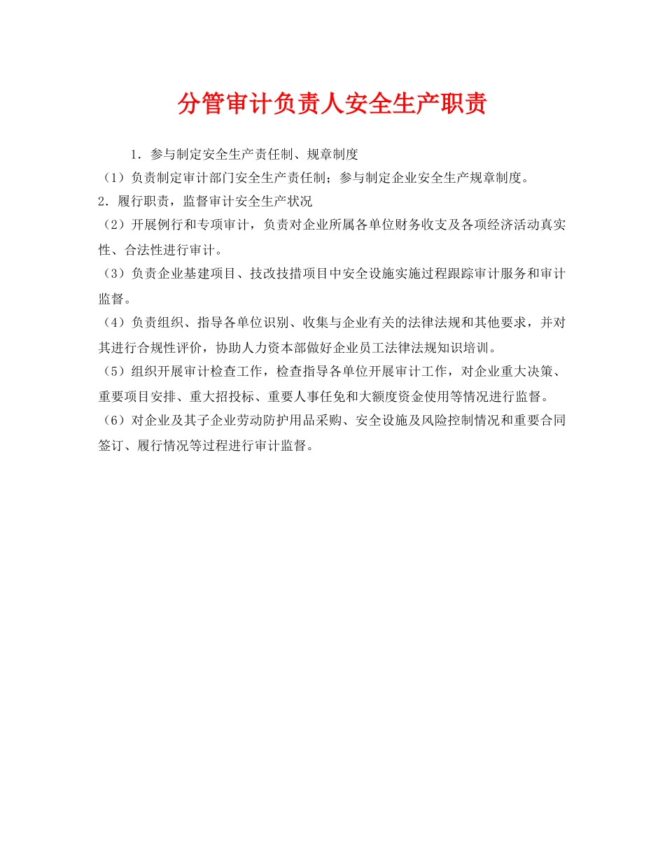 《安全管理制度》之分管审计负责人安全生产职责 _第1页