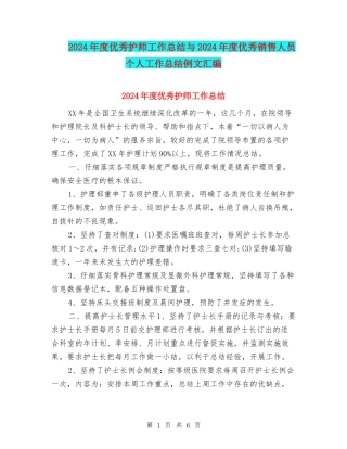 2024年度优秀护师工作总结与2024年度优秀销售人员个人工作总结例文汇编
