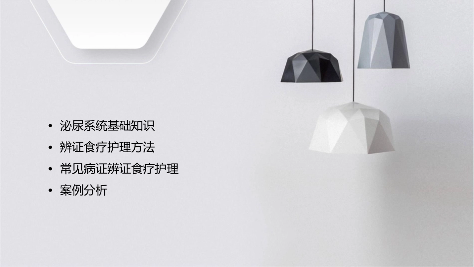 泌尿系统常见病证辨证食疗护理课件_第2页