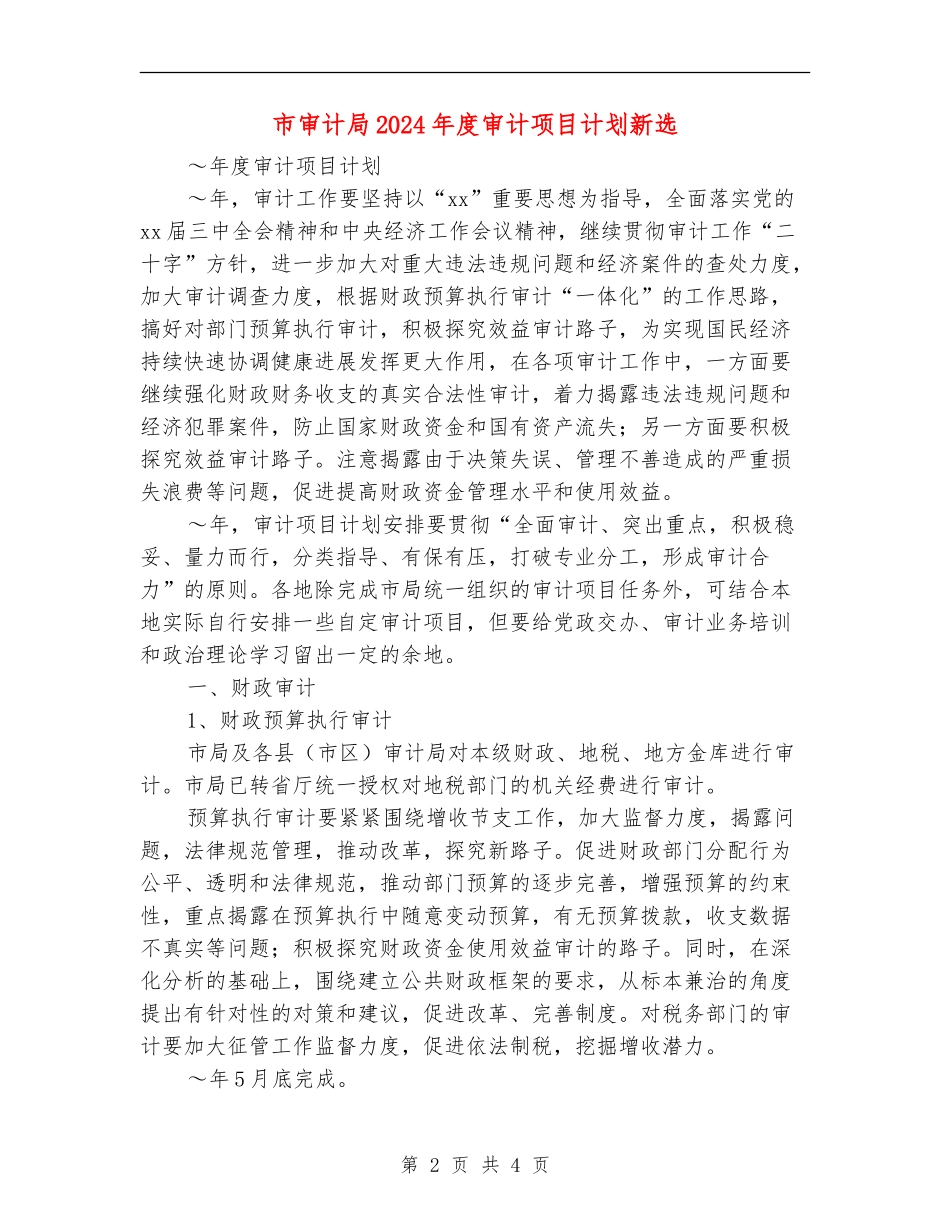 市审计局2024年度审计项目计划新选_第2页