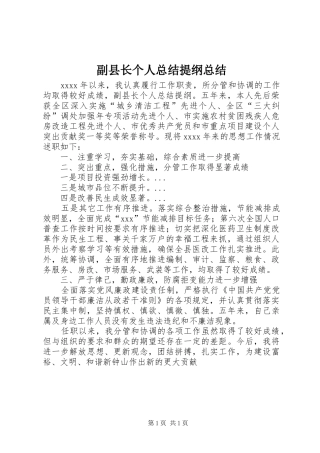 副县长个人总结提纲总结