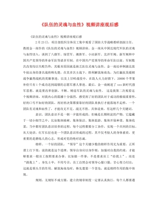 《队伍的灵魂与血性》视频讲座观后感 