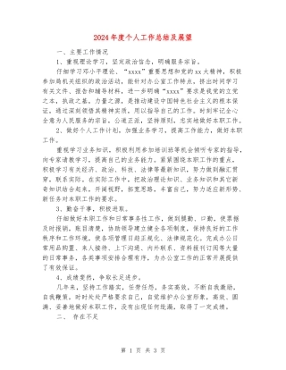2024年度个人工作总结及展望