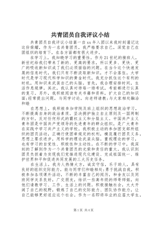 共青团员自我评议小结