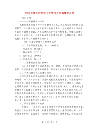 2024年度乡村学校少年宫项目实施情况小结