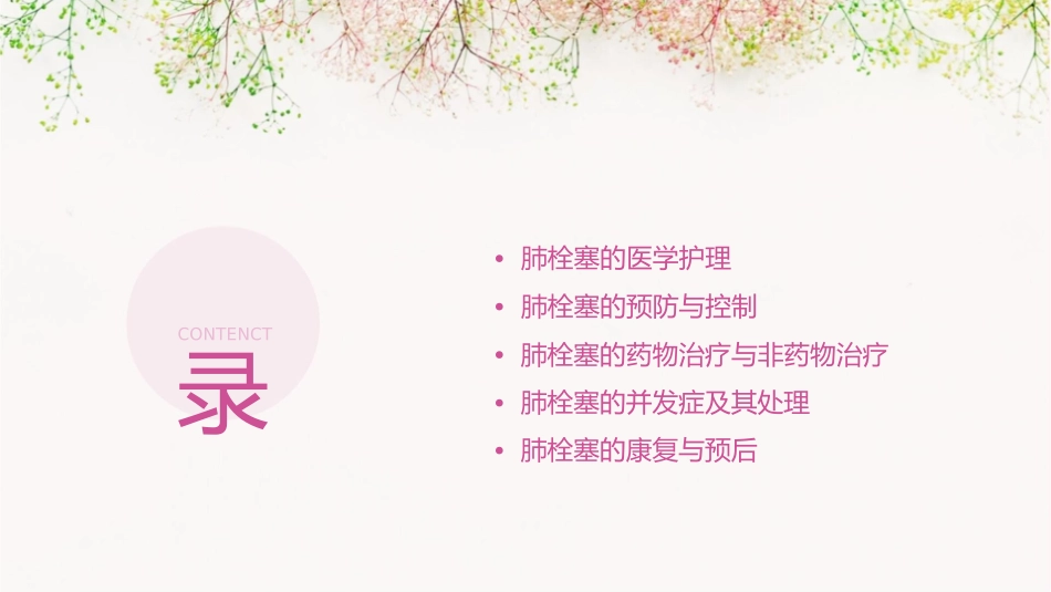 肺栓塞之医学护理课件_第2页