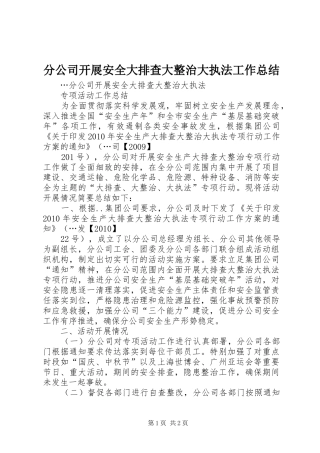 分公司开展安全大排查大整治大执法工作总结