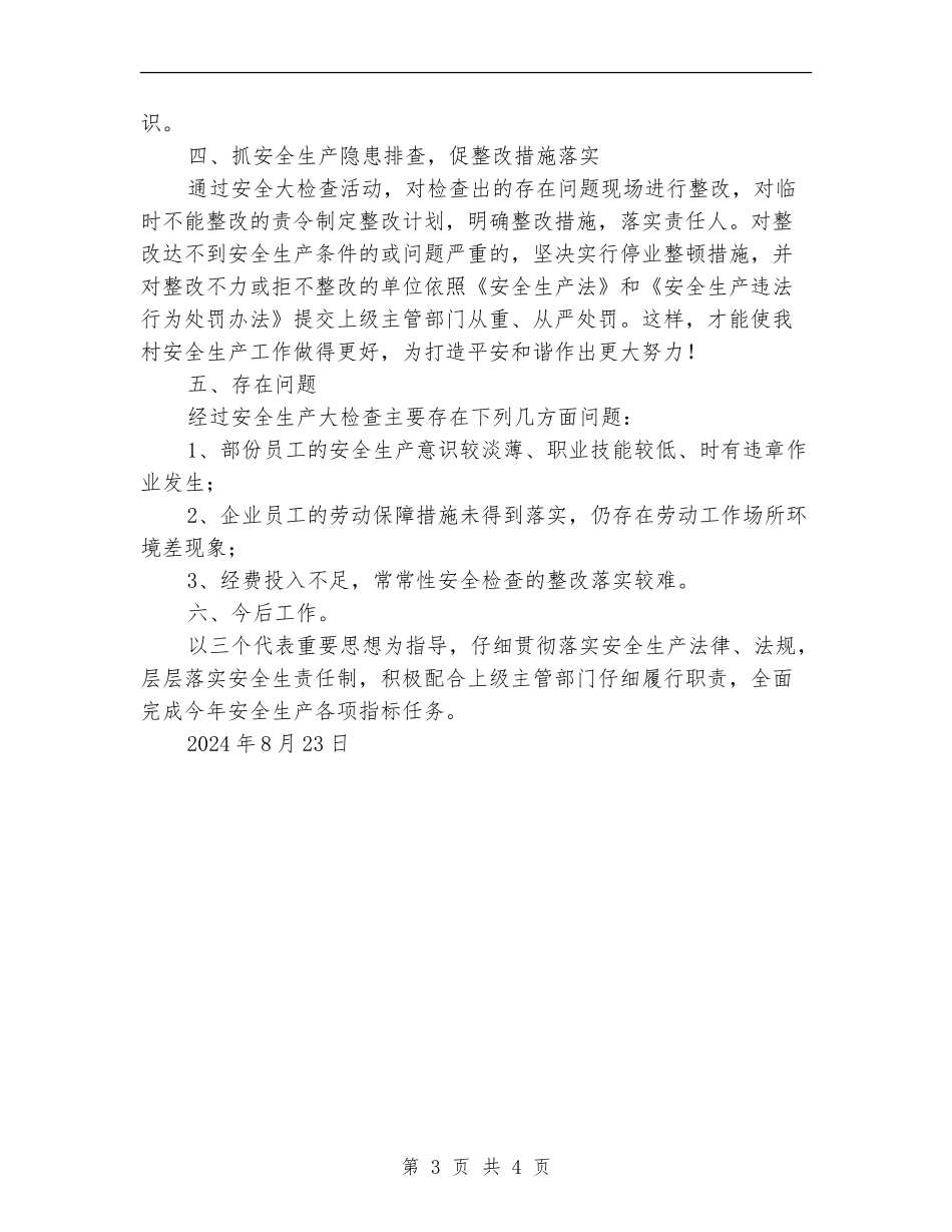村安全生产大检查工作总结_第3页