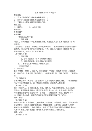 人教版七年级下册(部编版)名著导读《骆驼祥子》阅读复习教案