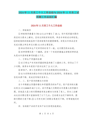 2024年11月员工个人工作总结与2024年11月员工试用期工作总结汇编