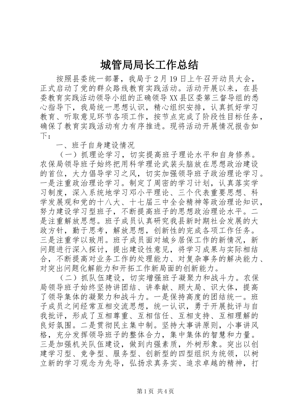 城管局局长工作总结_第1页